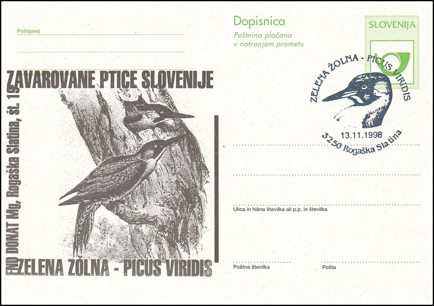 ZELENA ŽOLNA - PICUS VIRIDIS